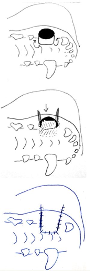 i1-722815-1384194965387.jpg