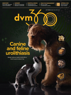 dvm360 September 2024
