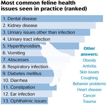 chart3_commonhealthissues.jpg