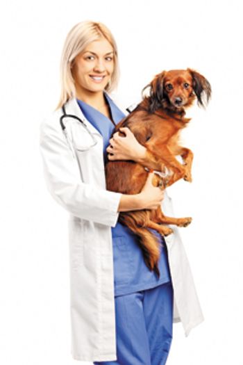 nursepractitioner220.jpg