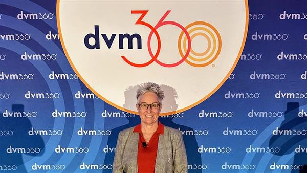 Key takeaways: Practical approaches to canine lymphoma diagnosis and management