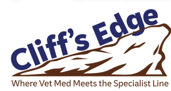 Blood test for the diagnosis of canine lymphoma: What primary care veterinarians should know