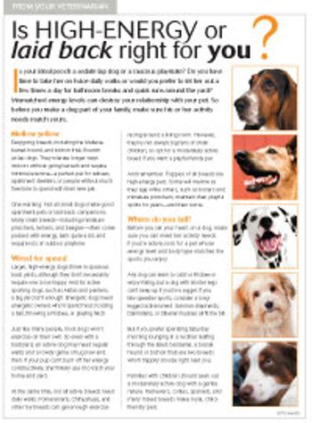 veterinary_canine_highenergy_200x271.jpg