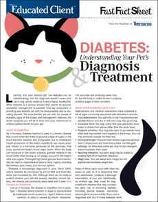 Understanding Diabetes