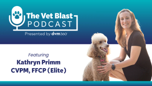 Creating low-stress veterinary visits for cats