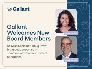 Image courtesy of Gallant