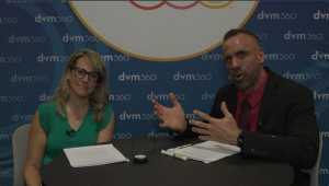 Non-Pharmacologic Solutions for Pet Dental Health From Prevention to Recovery