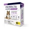 veterinary-capimsupply-provectaadvanceddogs-100.jpg
