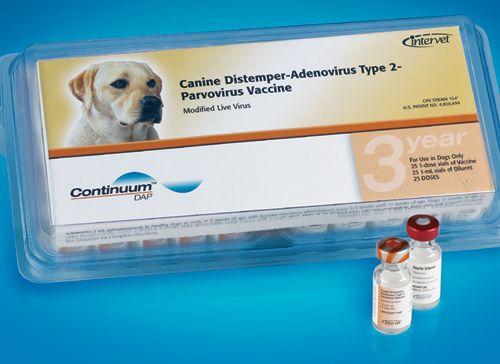 Intervet gets USDA nod for three-year canine vaccine