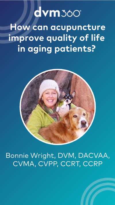 Improving quality of life in aging patients with acupuncture