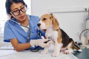 5 things you can do right now to foster DEI