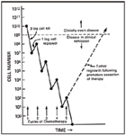 Introduction to common chemotherapy agents (Proceedings)