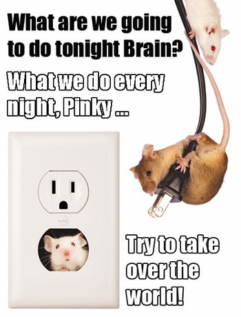 Pinky-Brain_Meme_450_rev1.jpg