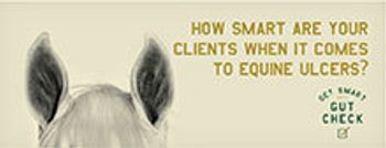 BI-gutcheck-toolkit-220p.jpg