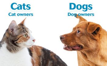 veterinary-cat-vs-dog-owner-450-278.jpg