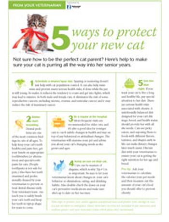 200px_5-Ways-to-Protect-Your-Cat_Client-Handout-v2.jpg