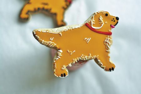 veterinary-Close-up-of-dog-shaped-cookie-with-frosting-533809687-450px.jpg