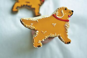 veterinary-Close-up-of-dog-shaped-cookie-with-frosting-533809687-450px.jpg