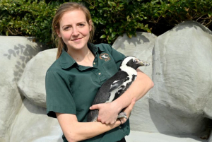 World’s oldest African penguin passes away 