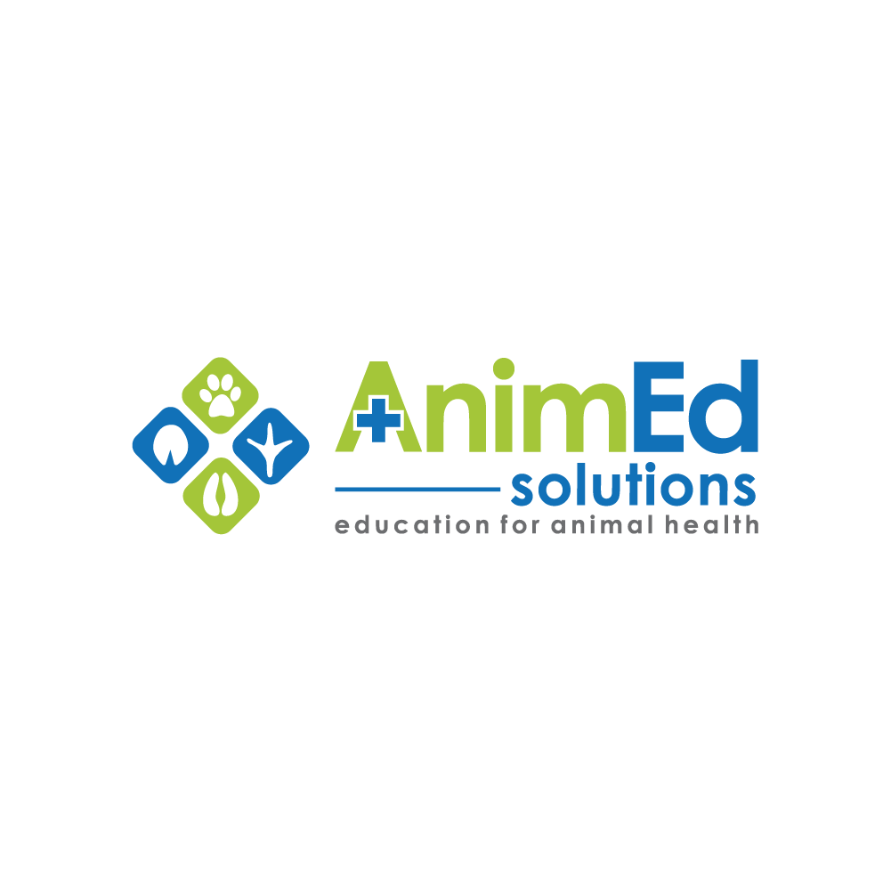 AnimEd Solutions logo