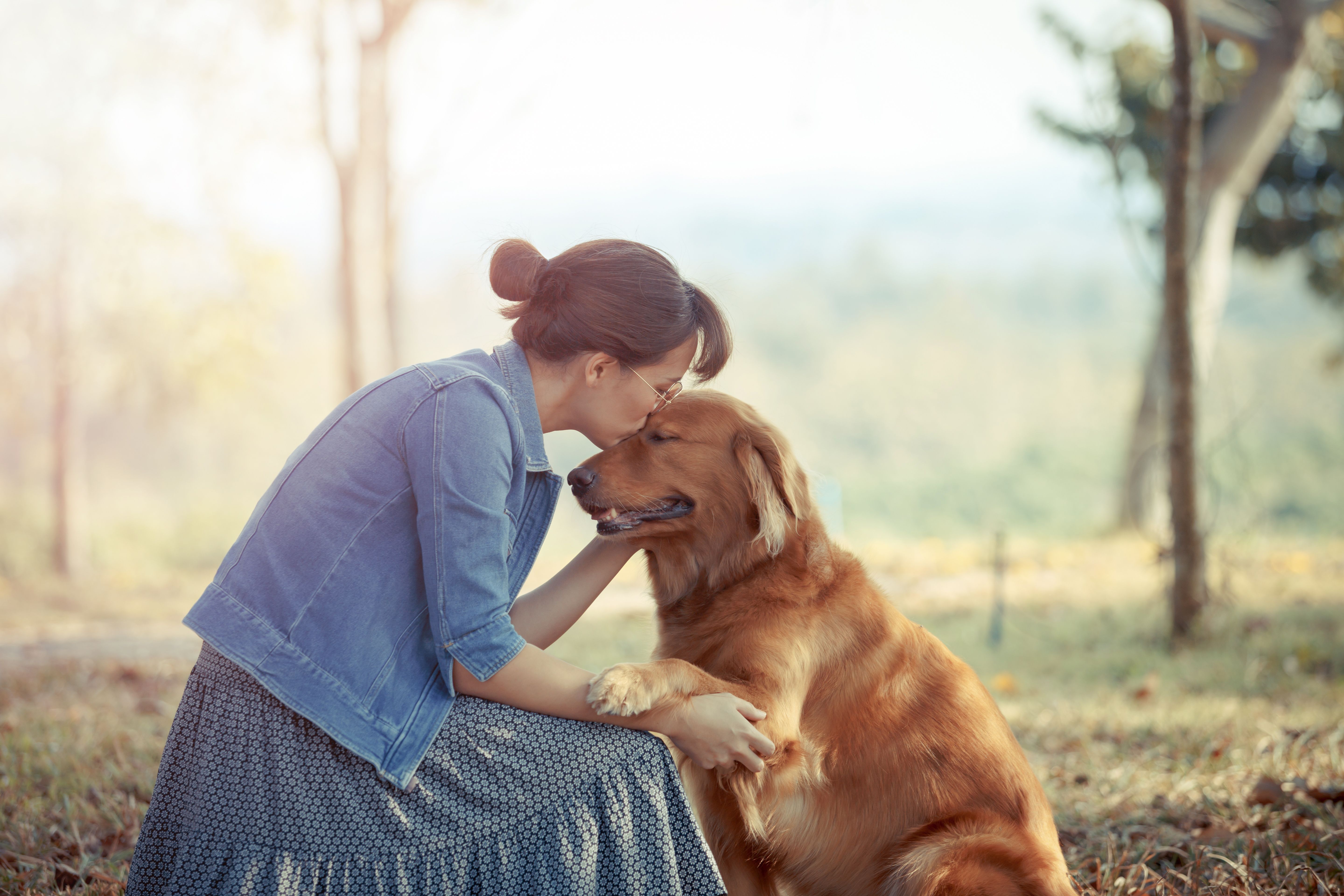 Animals communicate. Циничное общение животные. Pet owners.