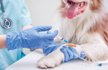 Understanding Cushing syndrome and cortisol: From lab work to rechecks