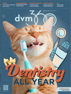 dvm360 February 2024