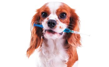 injectables-flash.jpg
