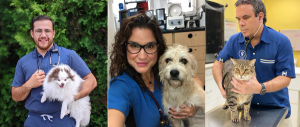 Shattering the glass ceiling in veterinary medicine
