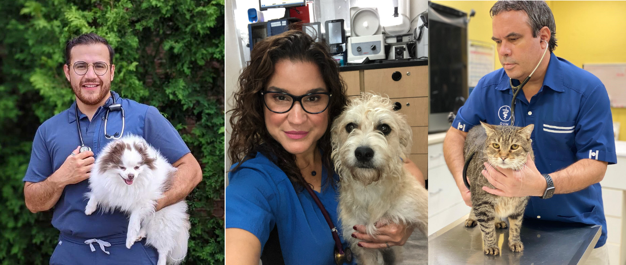 Shattering the glass ceiling in veterinary medicine