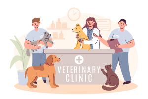Q&A with a veterinary technician educator: Continuing the vet tech conversation