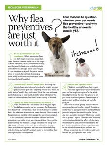 Handout: Why flea preventives are just worth it