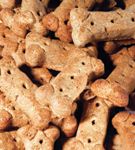 VeterinaryPetFood-580274-1384522892851.jpg