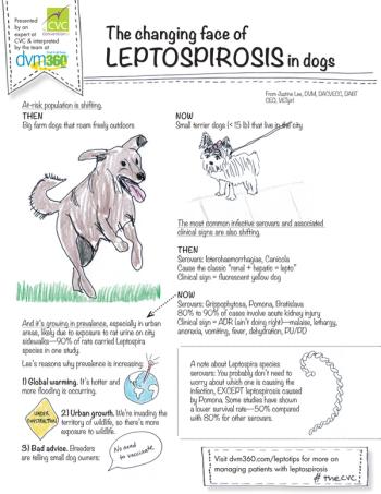 doodle-lepto-lee_rev2_694.jpg