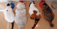 veterinary_cats_eating_120690167-775777-1384161093476.jpg