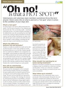 Veterinary client handout: Is that a hot spot, or pustules?