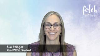 A new nonsurgical treatment option for canine mast cell tumors