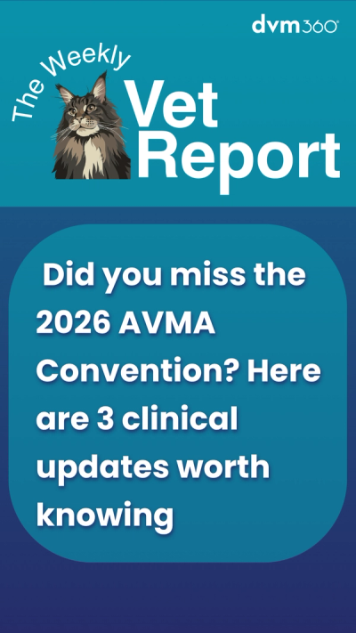 Did you miss the 2026 AVMA Convention? Here are 3 clinical updates worth knowing