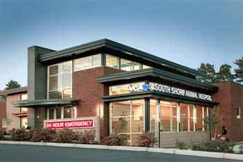 veterinary_south-817724-1382798393200.jpg