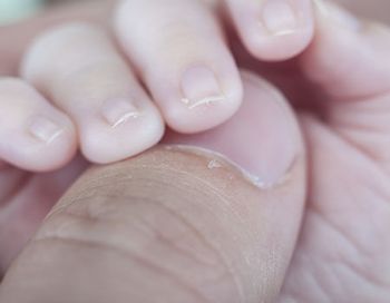 veterinary-newborn-hand-main.jpg
