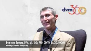 Comparing treatments for restoring the skin barrier in atopic dogs