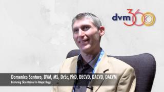 Comparing treatments for restoring the skin barrier in atopic dogs