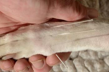 Photo: Kim/Adobe Stock