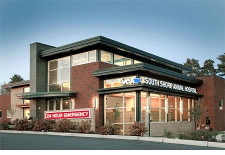 Two veterinary hospitals that prove the industry has changed