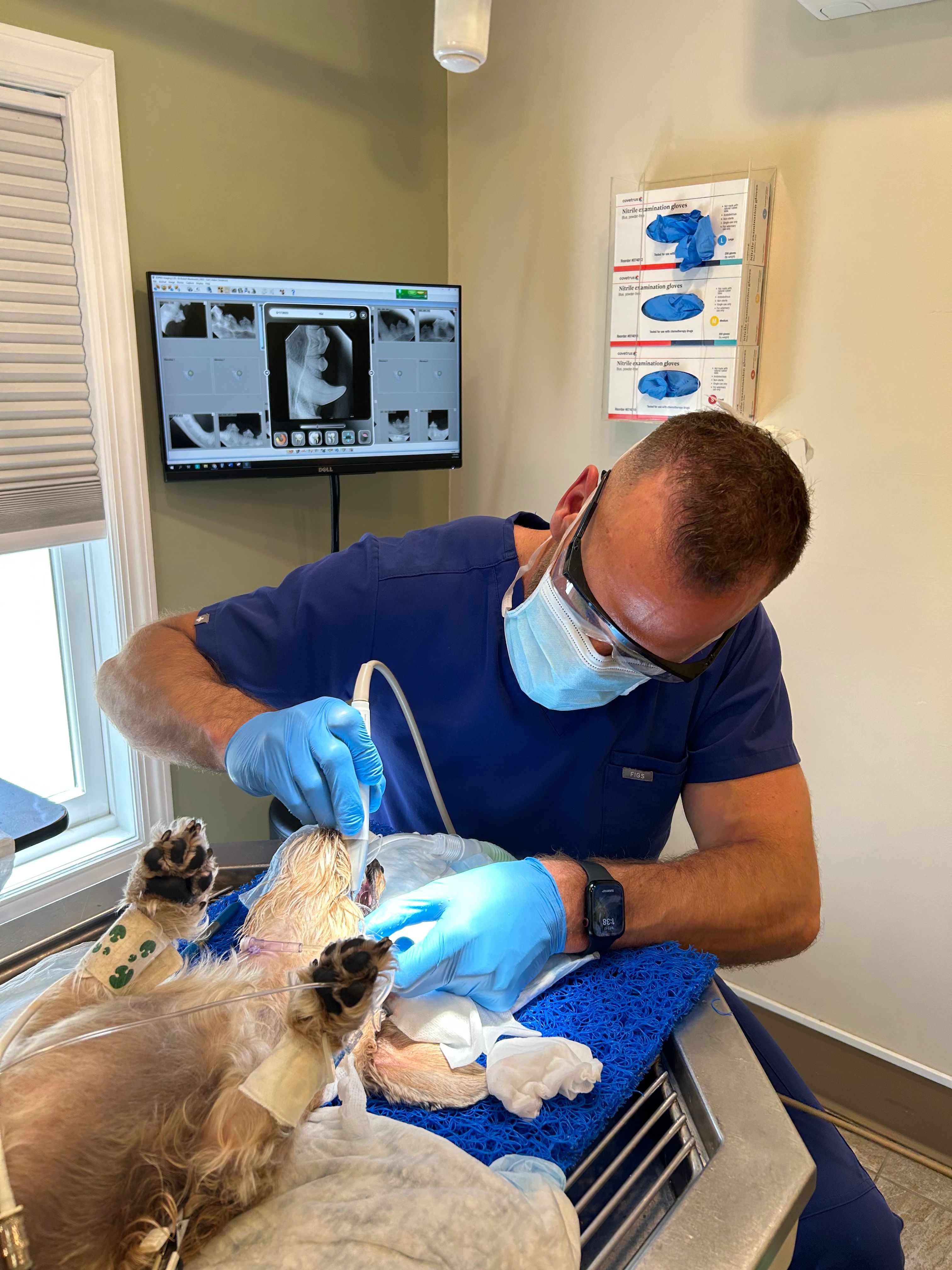 Dr Adam Christman
