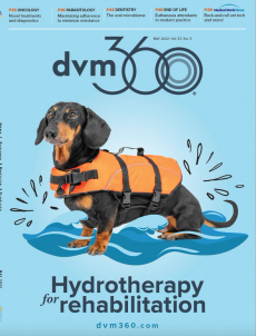 dvm360 May 2022