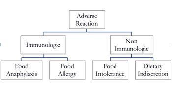 veterinary-choosing-the-right-img-1.jpg