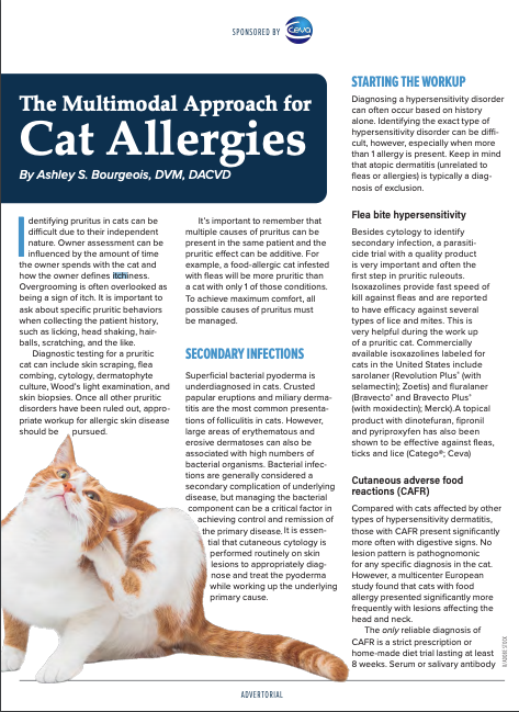 Cat allergic top to chicken