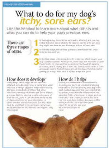 veterinary_otitis_200x271-844514-1404210821218.jpg