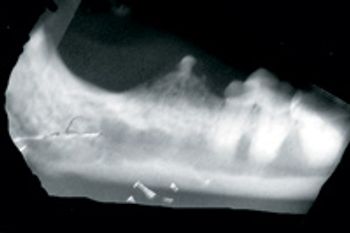 i4-99217-1384790603155.jpg